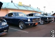 Pavillions Show Pair of Mustangs