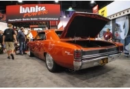 SEMA 2011 