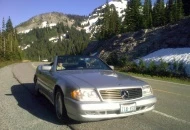 On the road to Paradise, Mt. Rainier national Park.